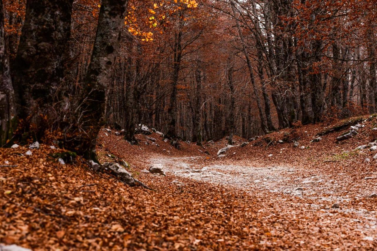 Appartamento A Campo Felice - Treeffe Collimento Buitenkant foto
