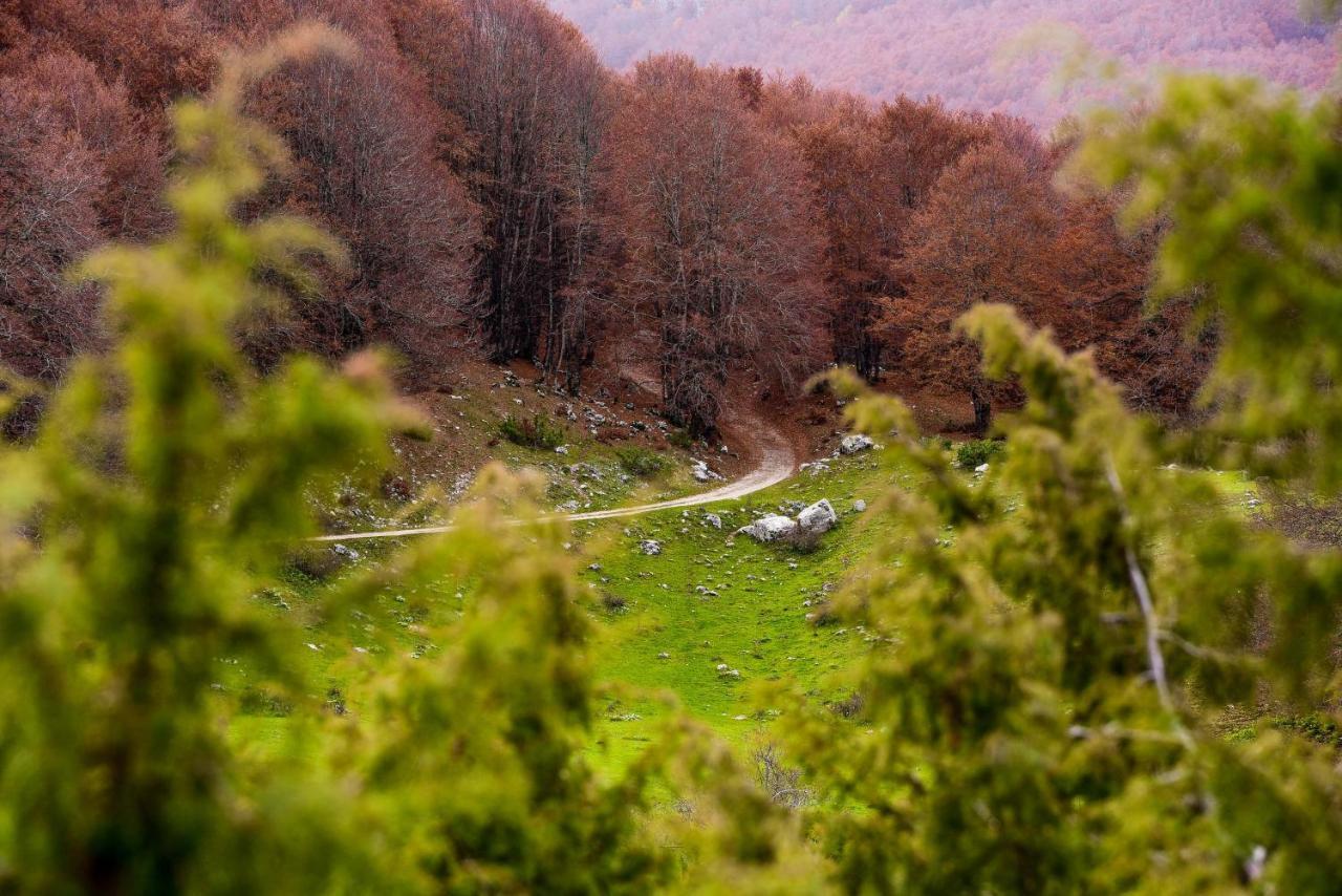 Appartamento A Campo Felice - Treeffe Collimento Buitenkant foto